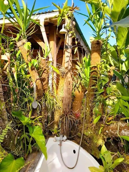 Magnifique Maison & Bungalow En Bois Dans Jardin Tropical Proche Rivieres Et Foret Lamentin 0*,